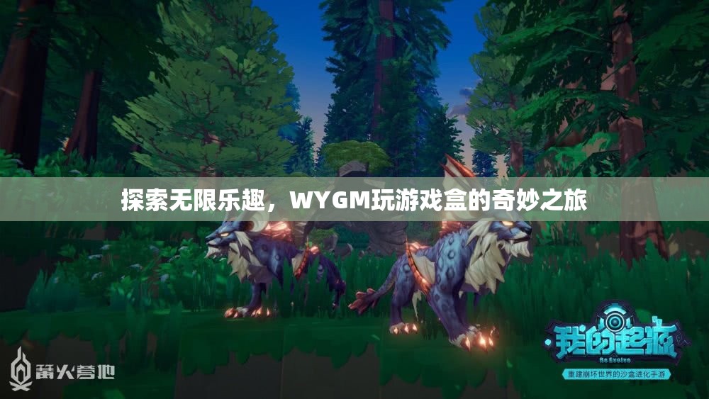 WYGM玩游戲盒，開啟無限樂趣的奇妙之旅