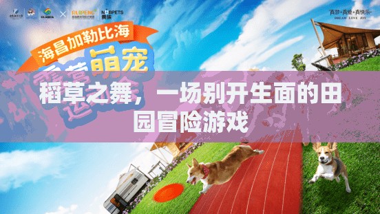 稻草之舞，一場(chǎng)別具一格的田園冒險(xiǎn)之旅