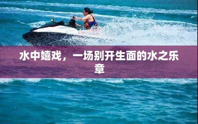 水中嬉戲，奏響別開(kāi)生面的水之樂(lè)章