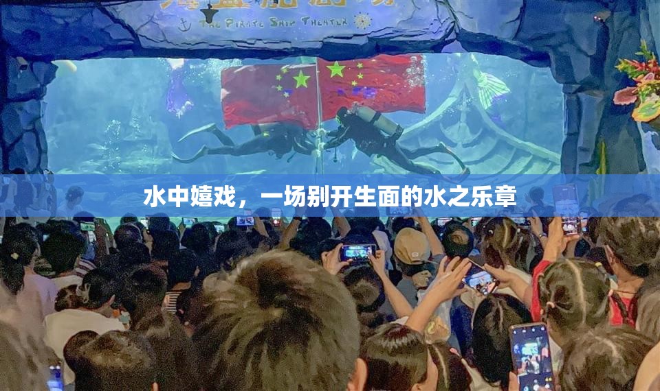 水中嬉戲，奏響別開(kāi)生面的水之樂(lè)章