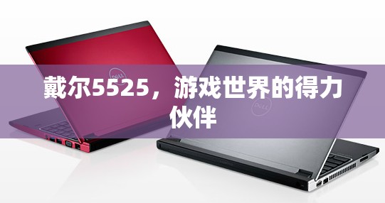 戴爾5525，游戲世界的得力伙伴