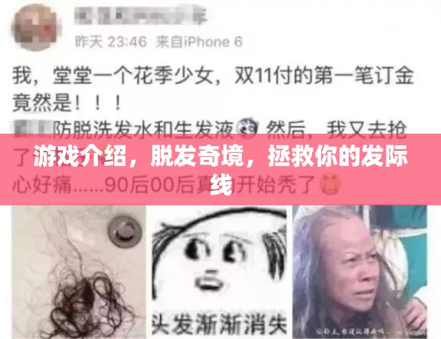 拯救發(fā)際線，探索脫發(fā)奇境的冒險(xiǎn)之旅