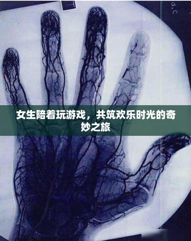 女生相伴，共筑歡樂時光的奇妙游戲之旅