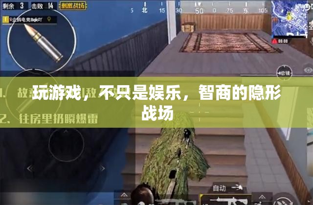 游戲，娛樂(lè)與智商的隱形戰(zhàn)場(chǎng)