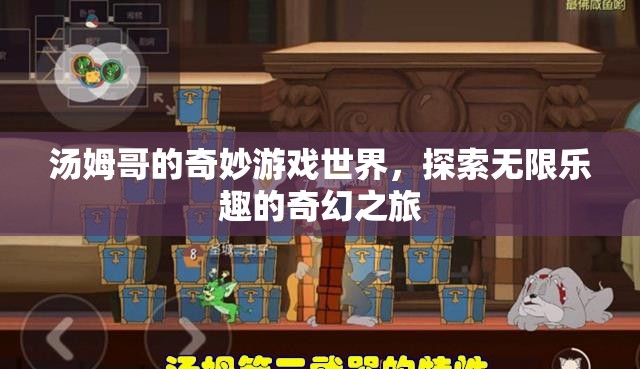 湯姆哥的奇幻游戲世界，探索無限樂趣的奇妙之旅