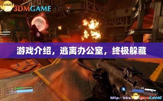 終極躲藏，逃離辦公室的驚險挑戰(zhàn)