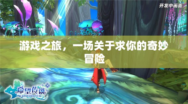 求你之旅，游戲中的奇妙冒險(xiǎn)  第1張