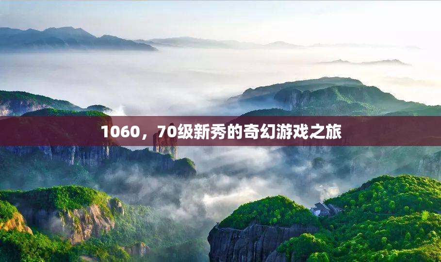 1060，70級新秀的奇幻游戲之旅