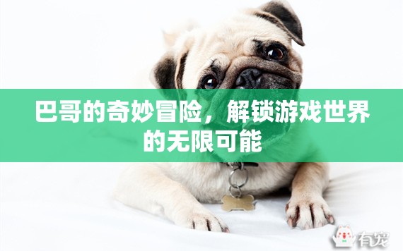 巴哥的奇幻之旅，解鎖游戲世界的無限可能  第1張