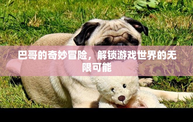 巴哥的奇幻之旅，解鎖游戲世界的無限可能  第3張