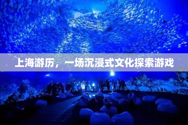 上海之旅，一場沉浸式文化探索的奇妙游戲
