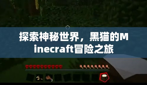 黑貓的Minecraft冒險(xiǎn)，探索神秘世界的奇幻之旅  第1張