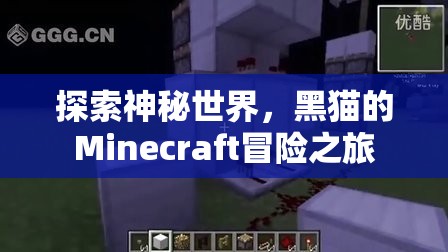 黑貓的Minecraft冒險(xiǎn)，探索神秘世界的奇幻之旅  第2張