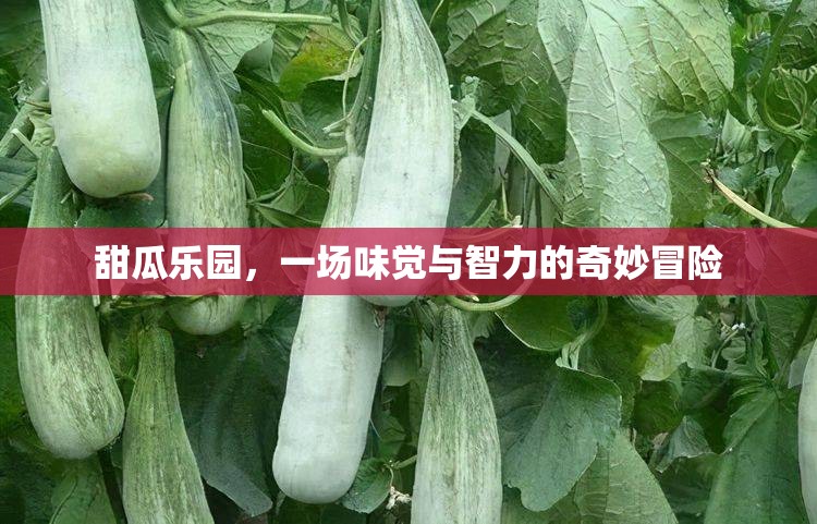 甜瓜樂園，味覺與智力的雙重奇境冒險
