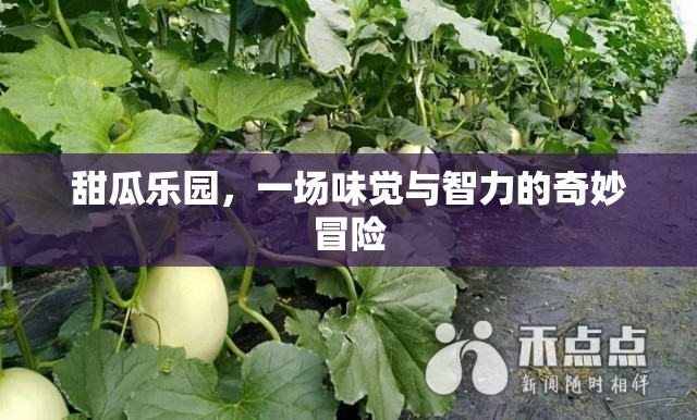 甜瓜樂園，味覺與智力的雙重奇境冒險