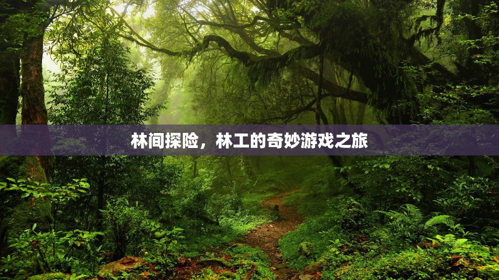 林間探險(xiǎn)，林工的奇妙游戲之旅