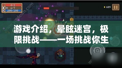 挑戰(zhàn)極限，暈眩迷宮的生理與心理雙重考驗(yàn)