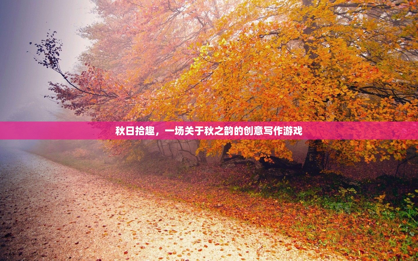 秋日拾趣，解鎖秋之韻的創(chuàng)意寫作之旅
