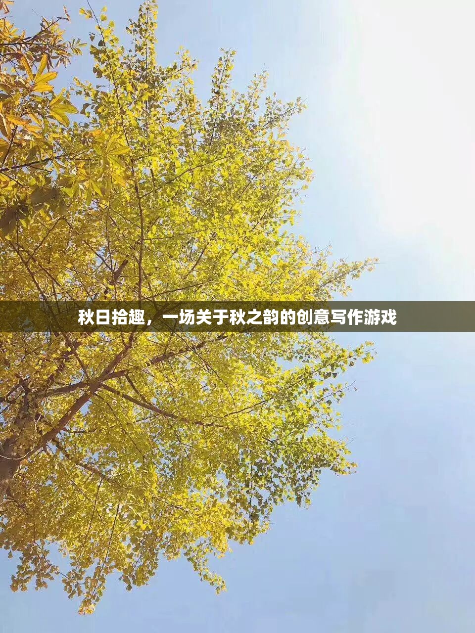 秋日拾趣，解鎖秋之韻的創(chuàng)意寫作之旅