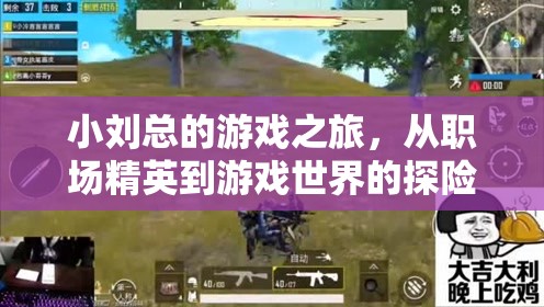 職場精英小劉的奇幻游戲之旅，從現(xiàn)實到虛擬的探險