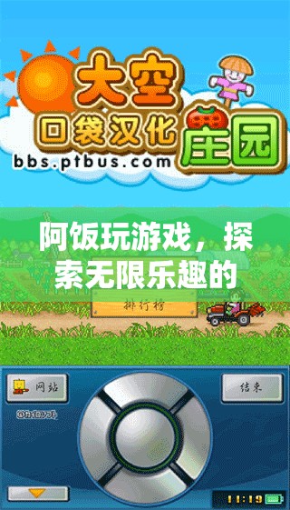 阿飯的數(shù)字樂(lè)園，探索游戲世界的無(wú)限樂(lè)趣