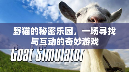 野貓的秘密樂園，一場尋覓與互動的奇妙探險