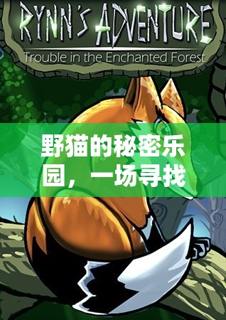 野貓的秘密樂園，一場尋覓與互動的奇妙探險