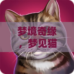夢境奇緣，與貓共舞的奇幻之旅