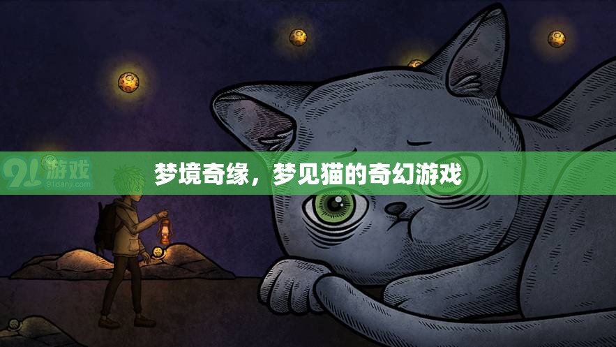 夢境奇緣，與貓共舞的奇幻之旅