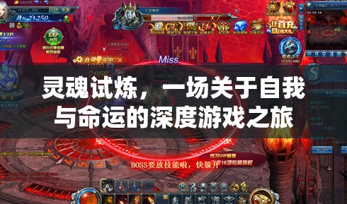 靈魂試煉，一場(chǎng)自我與命運(yùn)的深度游戲之旅
