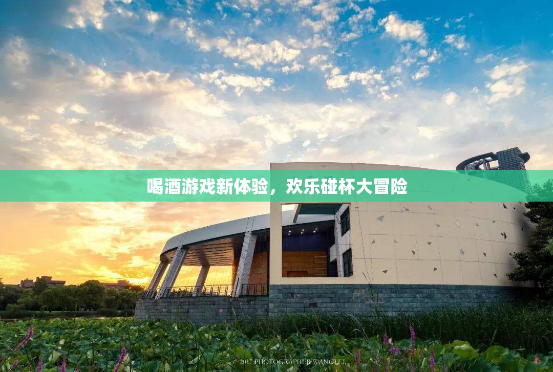 歡樂碰杯大冒險(xiǎn)，解鎖喝酒游戲新體驗(yàn)