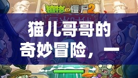 貓兒哥哥的奇幻之旅，虛擬與現(xiàn)實的歡樂冒險  第3張