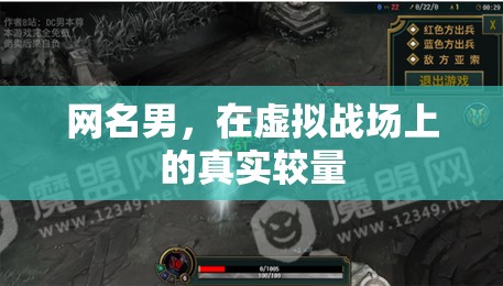 虛擬戰(zhàn)場(chǎng)上的真實(shí)較量，網(wǎng)名男的戰(zhàn)斗之旅  第2張