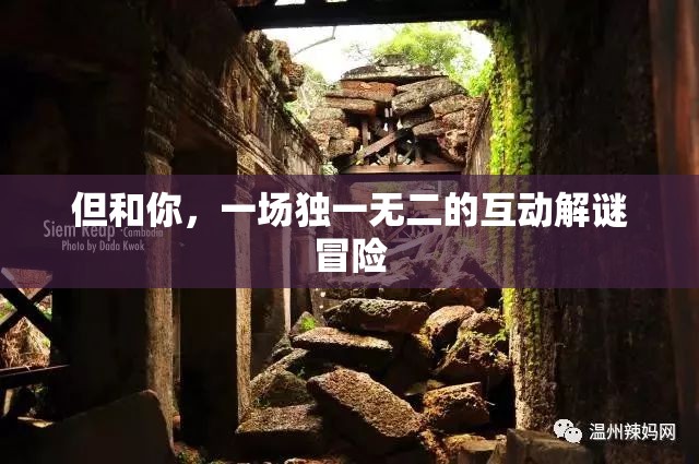 獨(dú)一無二的互動(dòng)解謎冒險(xiǎn)，與你共赴未知之旅