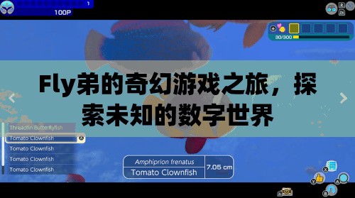 Fly弟的奇幻數(shù)字世界探險，解鎖未知的數(shù)字奧秘