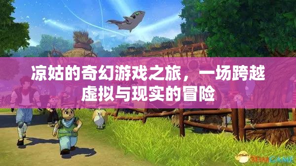 涼姑的奇幻游戲之旅，虛擬與現(xiàn)實的跨界冒險