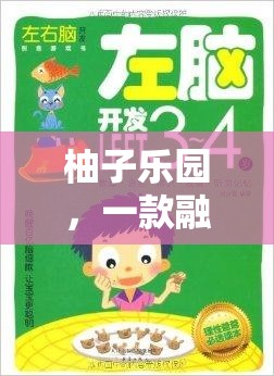 柚子樂園，創(chuàng)意與想象的奇妙游戲之旅