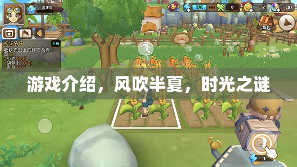 風吹半夏，時光之謎——探索時光深處的游戲之旅