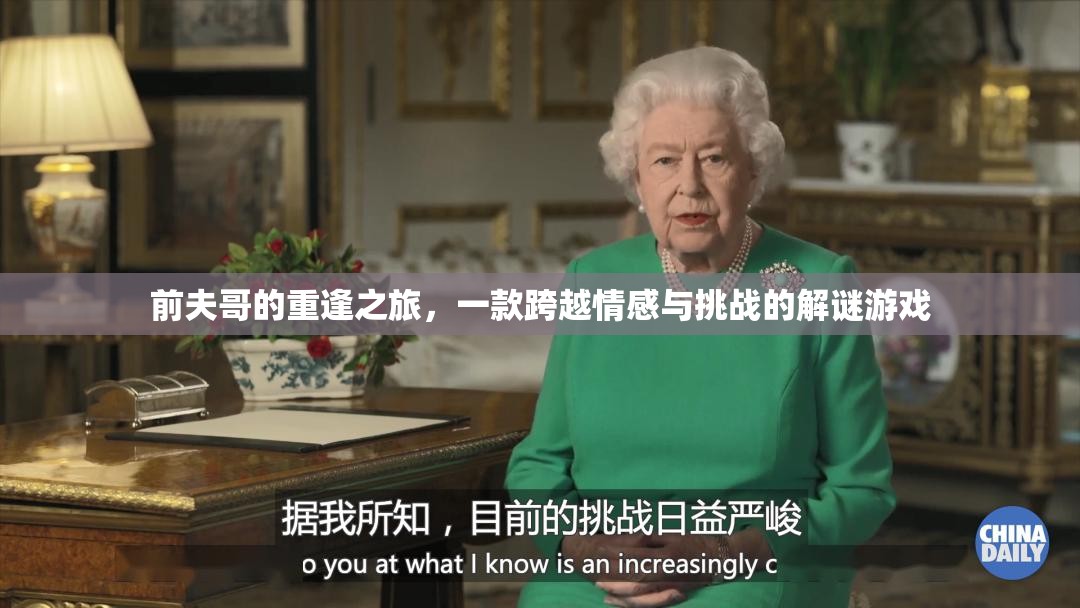前夫哥的重逢之旅，情感與挑戰(zhàn)的解謎冒險(xiǎn)