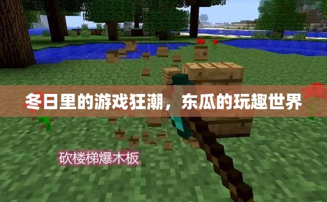 冬日狂歡，東瓜的玩趣世界