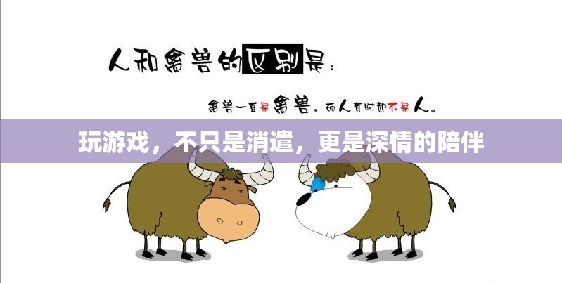 游戲，深情陪伴的數(shù)字樂園