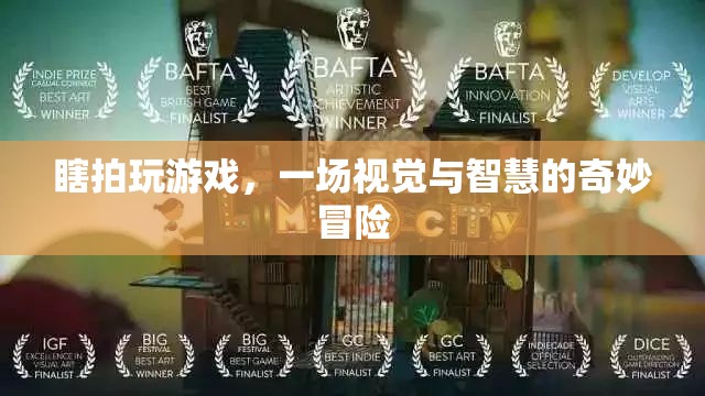 瞎拍游戲，視覺與智慧的奇妙冒險之旅