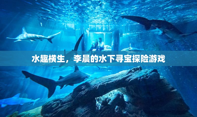 李晨的水下尋寶，一場(chǎng)驚心動(dòng)魄的探險(xiǎn)之旅