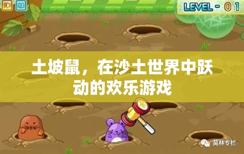 土坡鼠，沙土世界中的歡樂跳躍者
