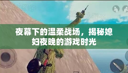 夜幕下的溫柔戰(zhàn)場，揭秘媳婦夜晚的秘密游戲時(shí)光