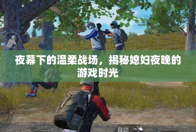 夜幕下的溫柔戰(zhàn)場，揭秘媳婦夜晚的秘密游戲時(shí)光