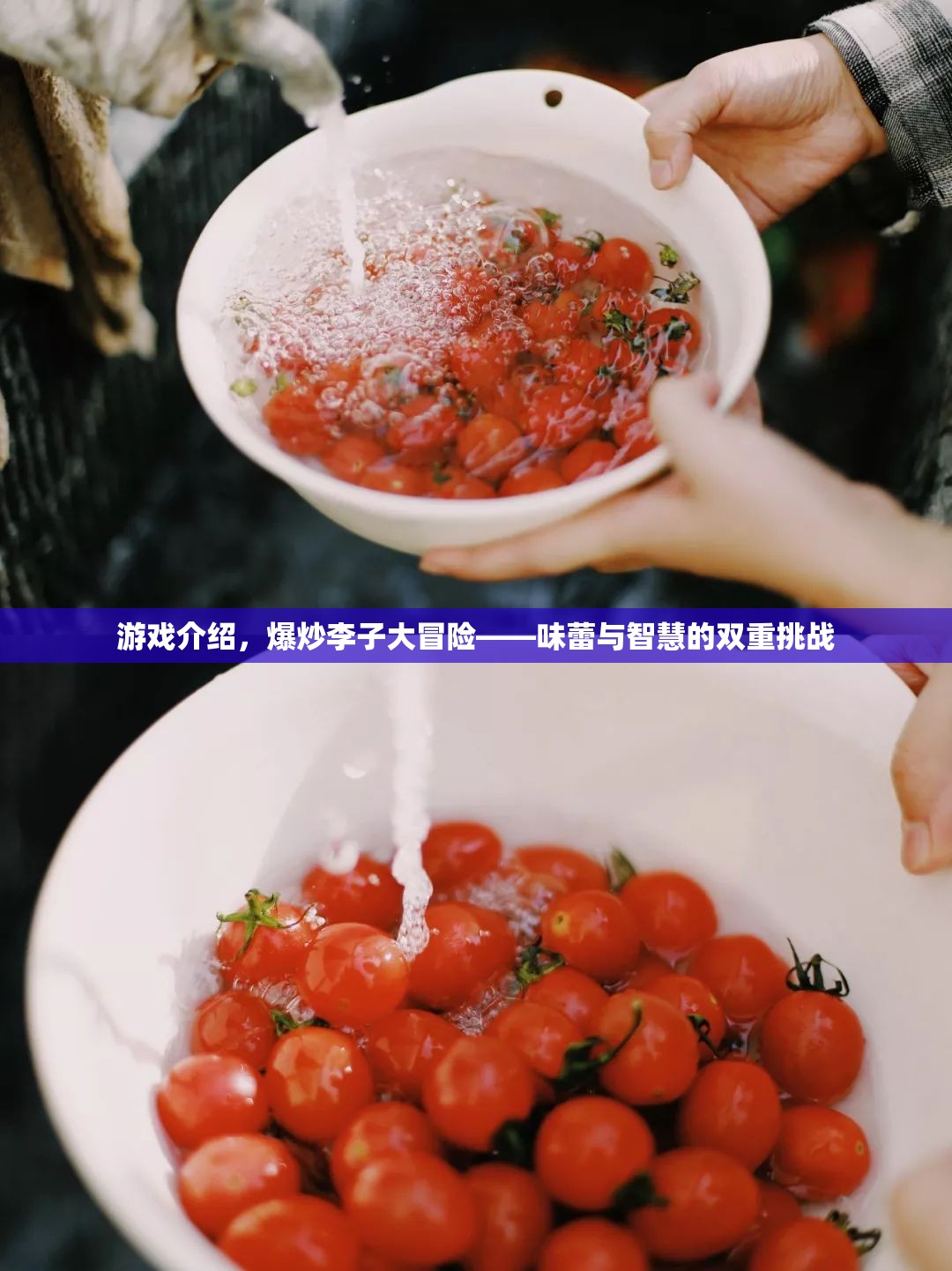 爆炒李子大冒險，味蕾與智慧的雙重挑戰(zhàn)