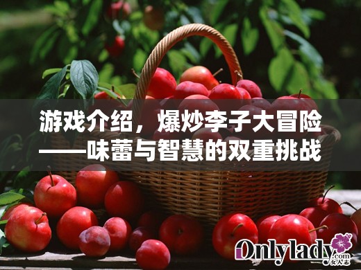 爆炒李子大冒險，味蕾與智慧的雙重挑戰(zhàn)
