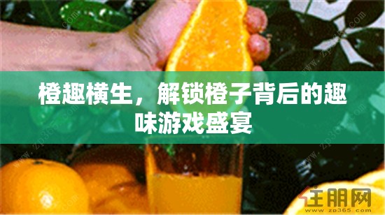 橙趣橫生，解鎖橙子背后的趣味游戲盛宴