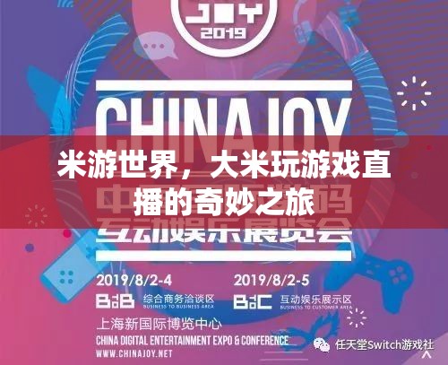 米游世界，大米的游戲直播奇妙探險(xiǎn)